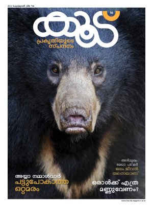 Issue 10, February 2014