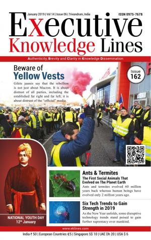 Executive Knowledge Lines - January 2019