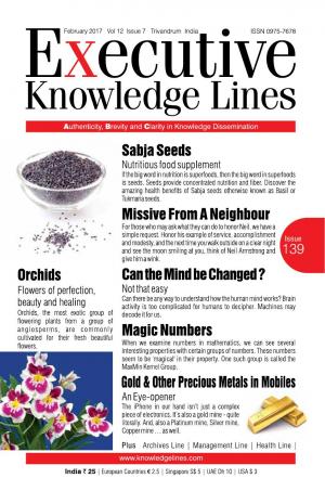 Executive Knowledge Lines - February 2017
