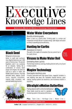 Executive Knowledge Lines - December 2015