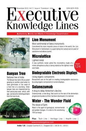 Executive Knowledge Lines - November 2015