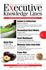 EXECUTIVE KNOWLEDGE LINES