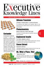 EXECUTIVE KNOWLEDGE LINES