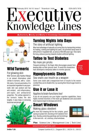 Executive Knowledge Lines - February 2015