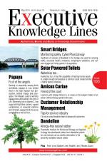 EXECUTIVE KNOWLEDGE LINES