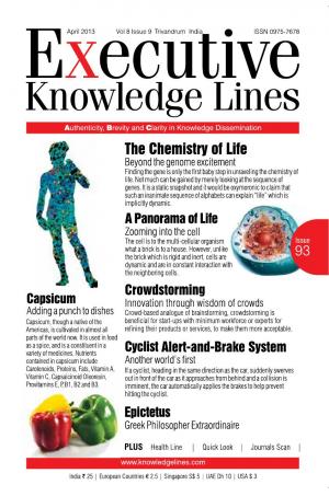 Executive Knowledge Lines - April 2013