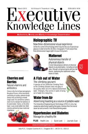 Executive Knowledge Lines - March 2013