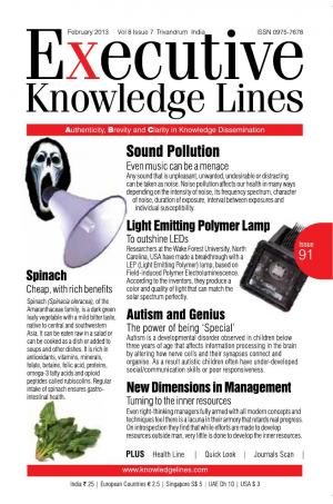 Executive Knowledge Lines - February 2013