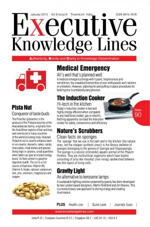 Executive Knowledge Lines - January 2013