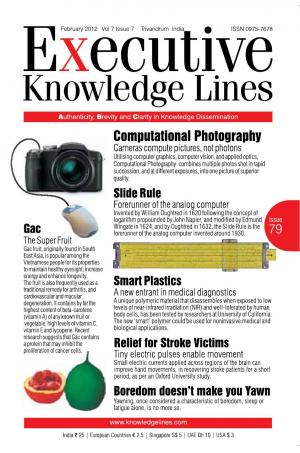 Executive Knowledge Lines - February 2012