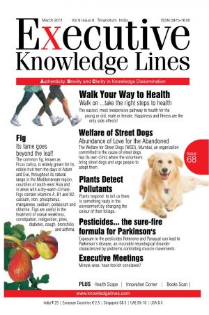 Executive Knowledge Lines - March 2011