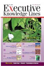 EXECUTIVE KNOWLEDGE LINES