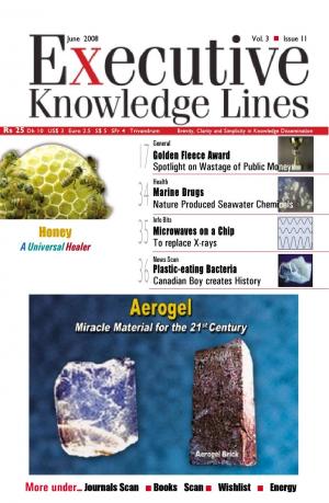 Executive Knowledge Lines - June 2008
