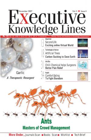 Executive Knowledge Lines - November 2007