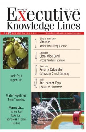 Executive Knowledge Lines - February 2007