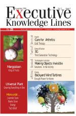 EXECUTIVE KNOWLEDGE LINES