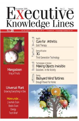 Executive Knowledge Lines - November 2006