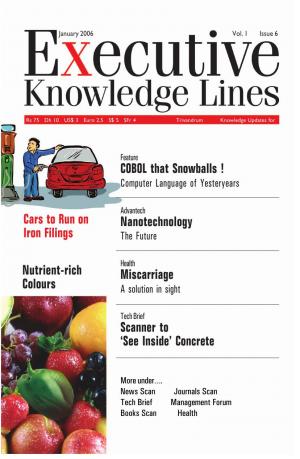 Executive Knowledge Lines - January 2006