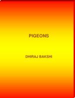 PIGEONS