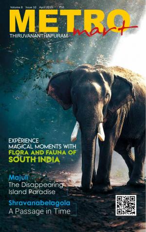 Metro Mart - April 2019