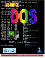 MS DOS