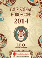 LEO - YOUR ZODIAC HOROSCOPE 2014