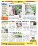 Krishna Constituencies