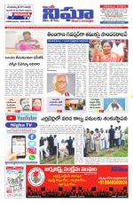 Telangana / Andhra Pradesh