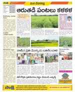 Mahabubnagar Constituencies