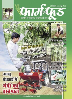 September First 2019