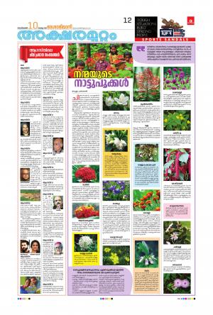 Aksharamuttam, 10 September 2019