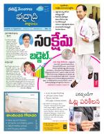 Bhadradri Kothagudem