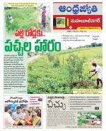 Mahabubnagar District