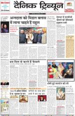 Dainik Tribune (Rohtak Edition)
