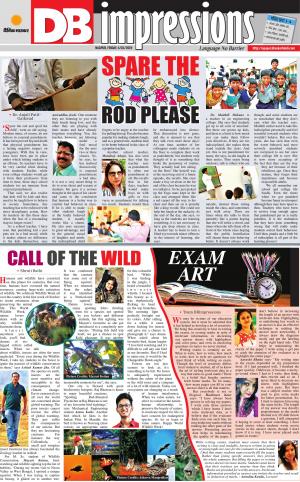 डीबी स्टार नागपूर 