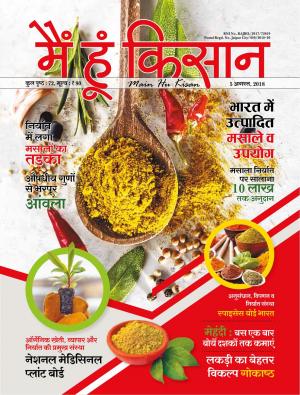 Maihukisan_August 2018