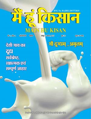 Maihukisan_August 2017