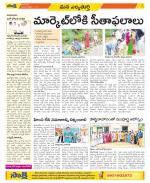 Hanamakonda Constituencies