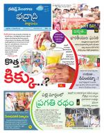 Bhadradri Kothagudem