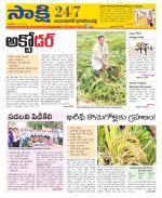 Jayashankar District