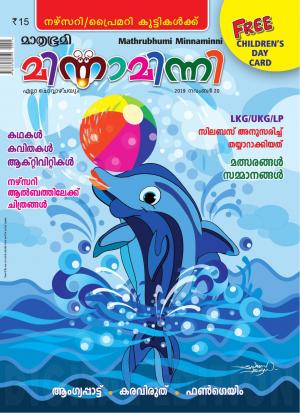 Minnaminni - 2019 November 20