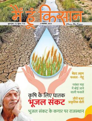 Maihukisan_November 2019 