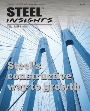 Steel Insights
