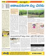 Prakasam Constituencies