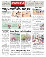 Nellore constituencies