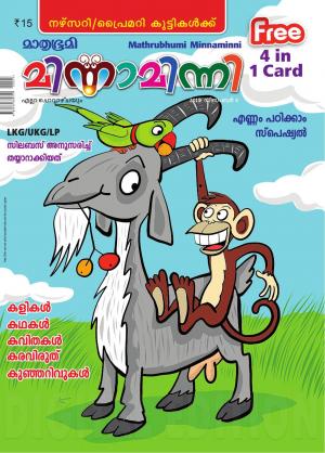 Minnaminni - 2019 December 4