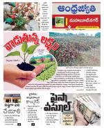 Mahabubnagar District