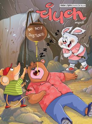 November Second 2019