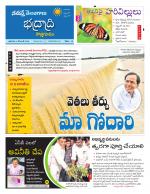 Bhadradri Kothagudem