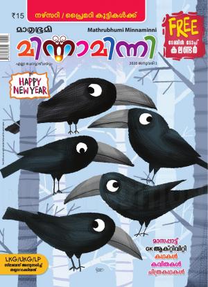 Minnaminni - 2020 January 1